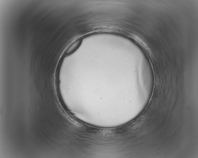 X0000071951283200608041543