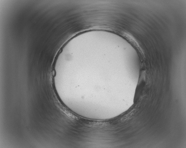 X0000071951284200608041543