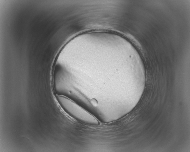 X0000071951287200608041543