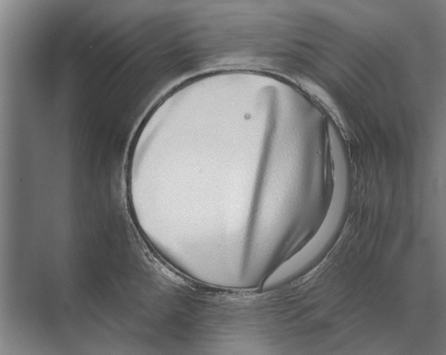 X0000071951288200608041543