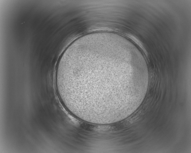 X0000071951290200608041543