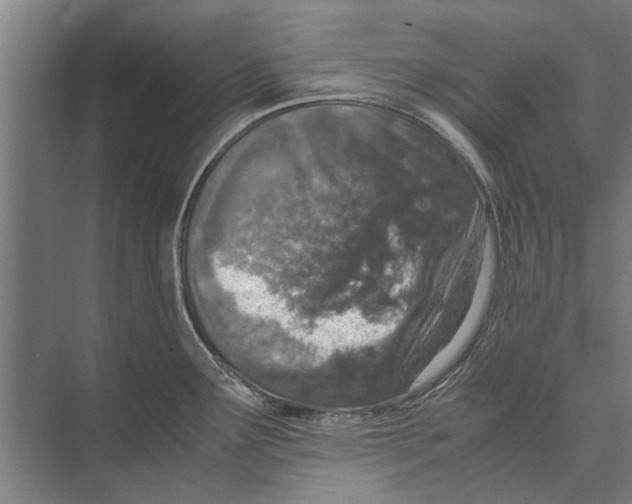 X0000071951291200608041543