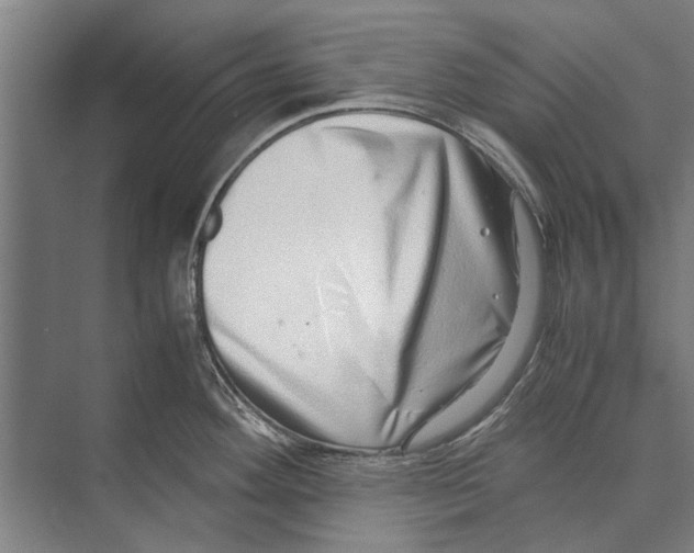 X0000071951292200608041543