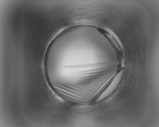 X0000071951293200608041543