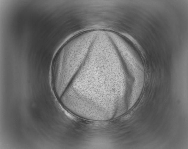 X0000071951294200608041543