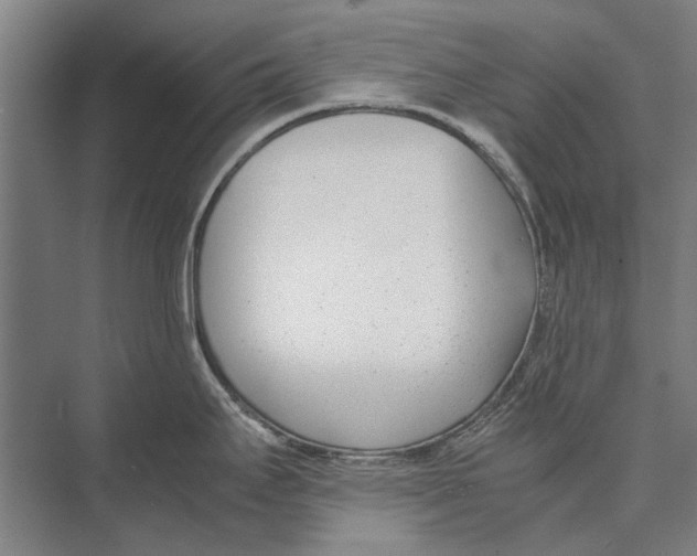 X0000071951295200608041543