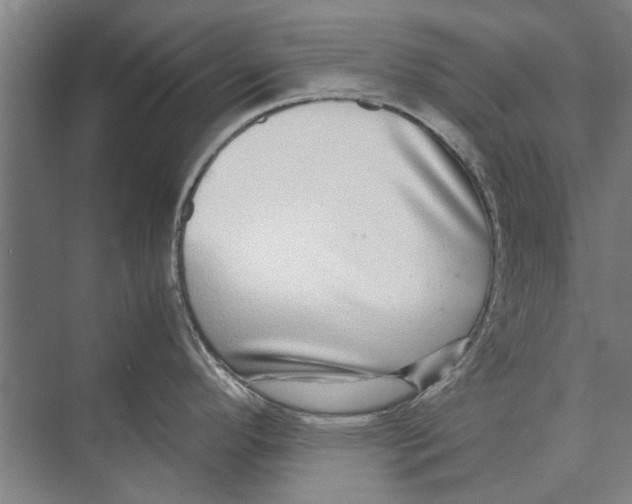 X0000071951296200608041543