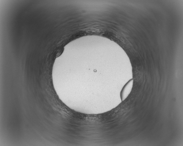 X0000071951297200608041542