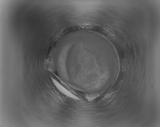 X0000071951298200608041542