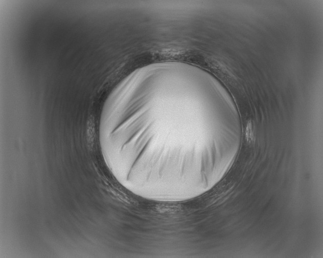 X0000071951299200608041542