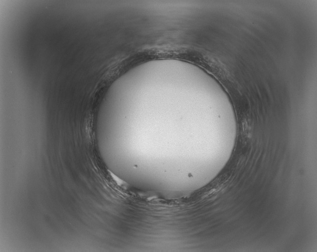 X0000071951300200608041542