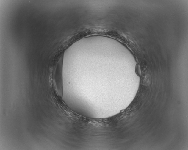 X0000071951301200608041543