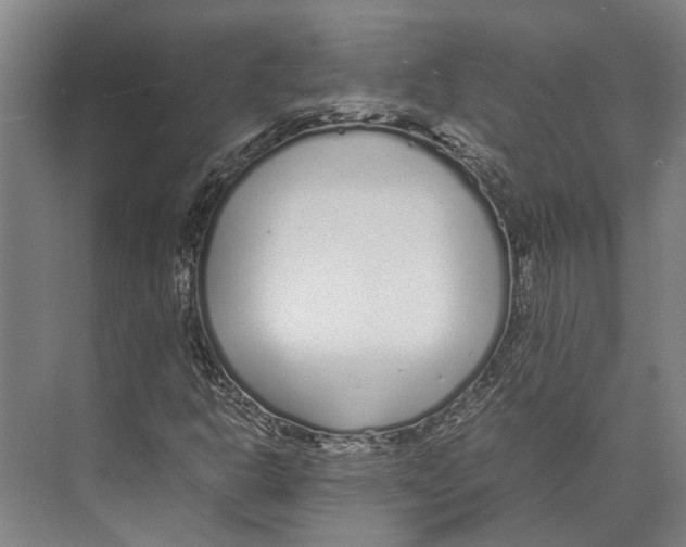 X0000071951302200608041543