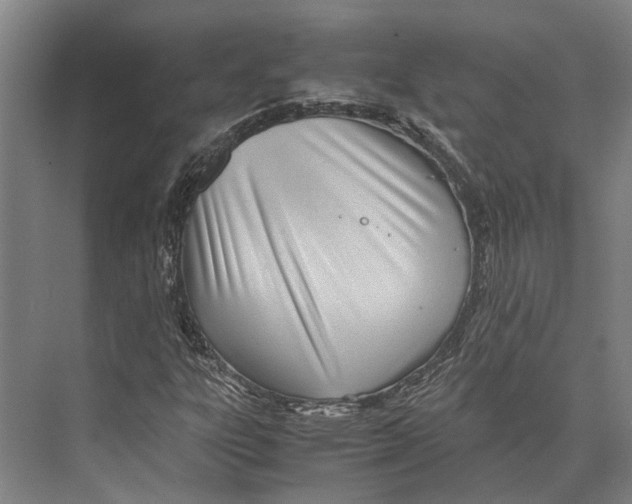 X0000071951303200608041543