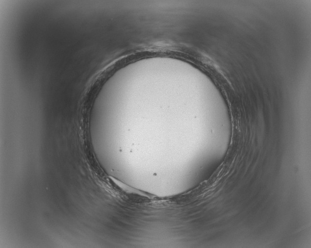 X0000071951304200608041543