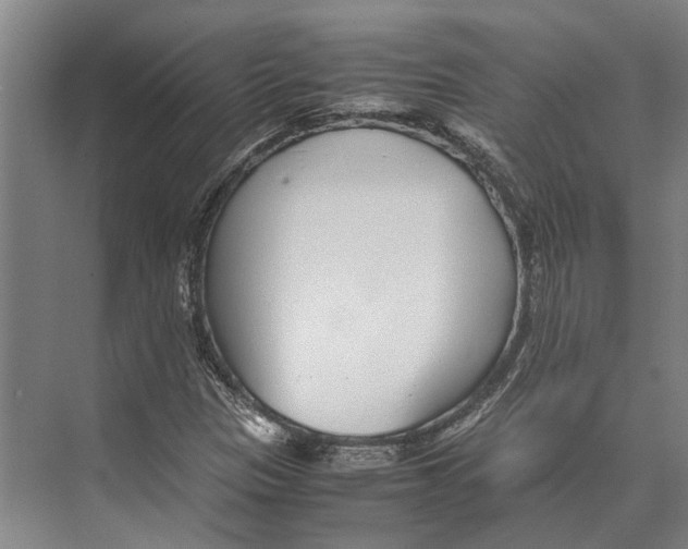 X0000071951305200608041543