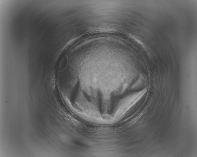 X0000071951306200608041543