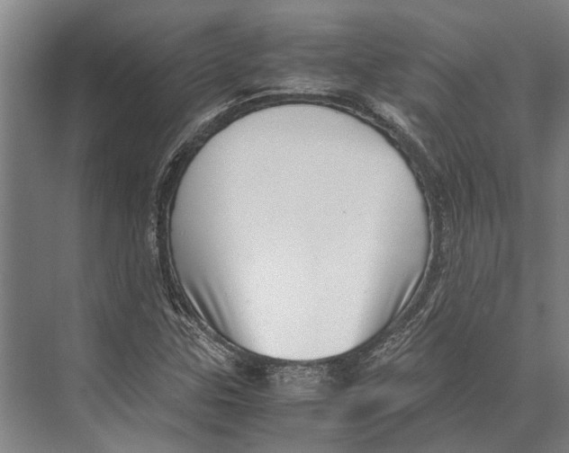 X0000071951307200608041543