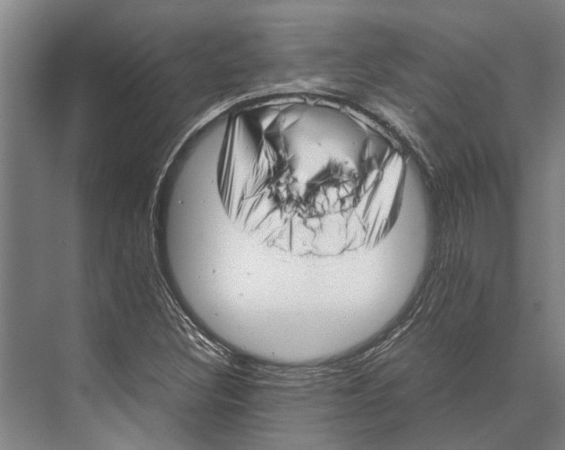 X0000071951308200608041543