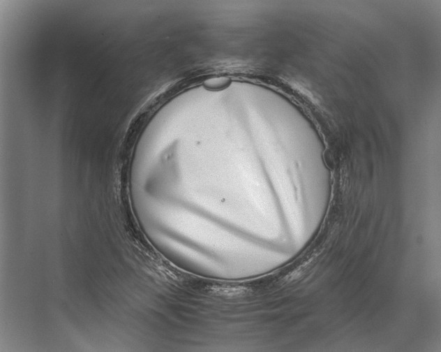 X0000071951309200608041543