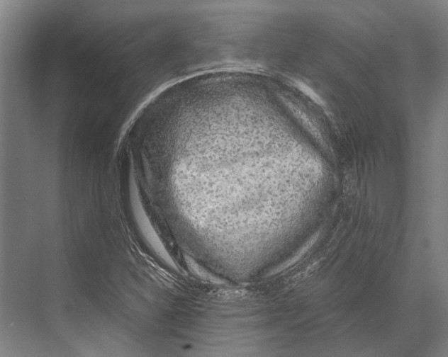 X0000071951310200608041543