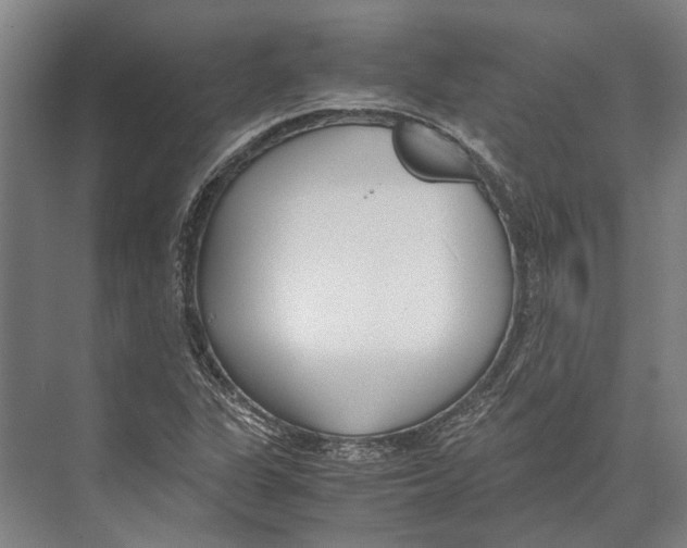 X0000071951311200608041543