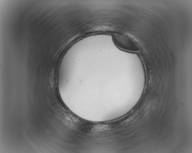 X0000071951313200608041543