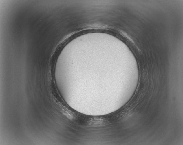 X0000071951315200608041543