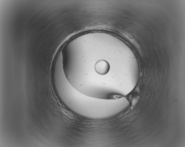 X0000071951316200608041543