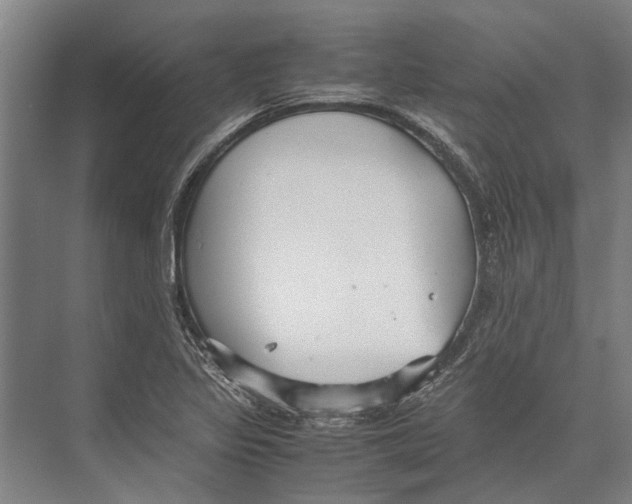 X0000071951317200608041543