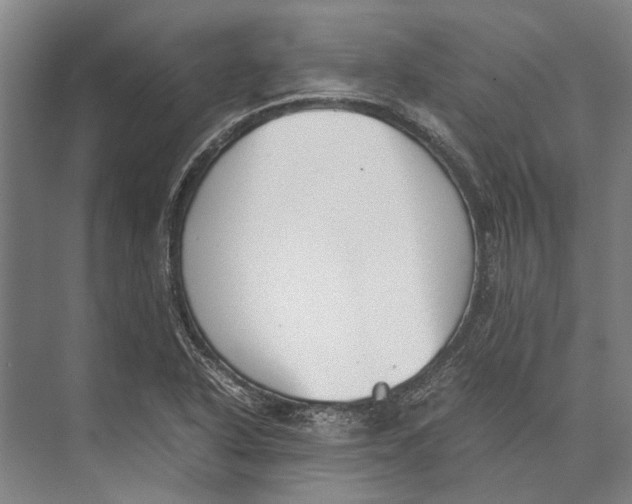 X0000071951318200608041543