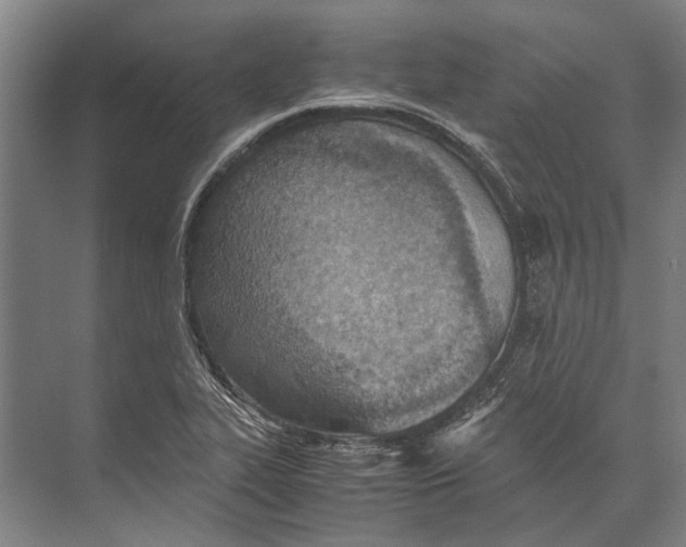 X0000071951319200608041543