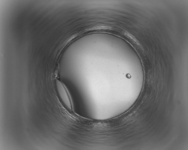 X0000071951321200608041543