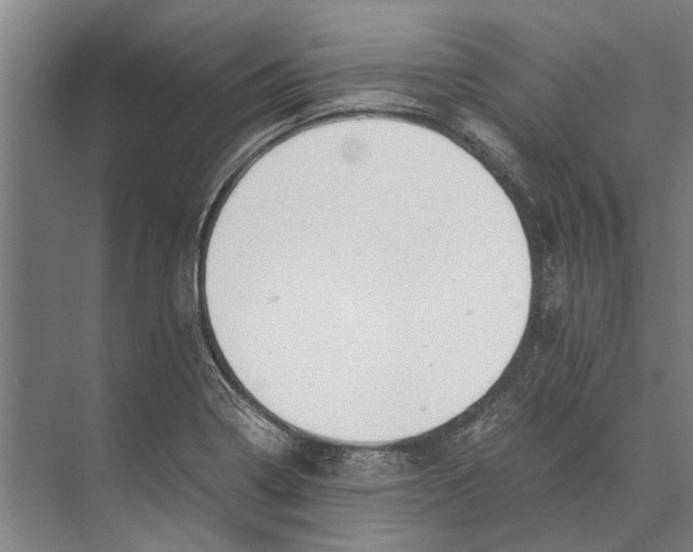 X0000071951322200608041543