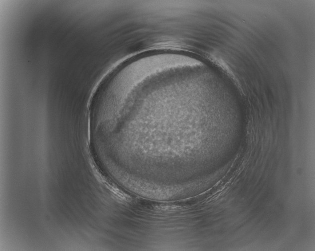 X0000071951323200608041543