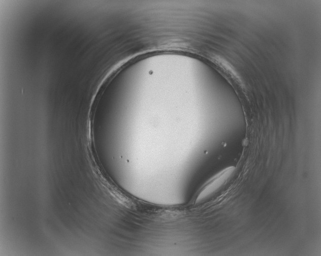 X0000071951324200608041543