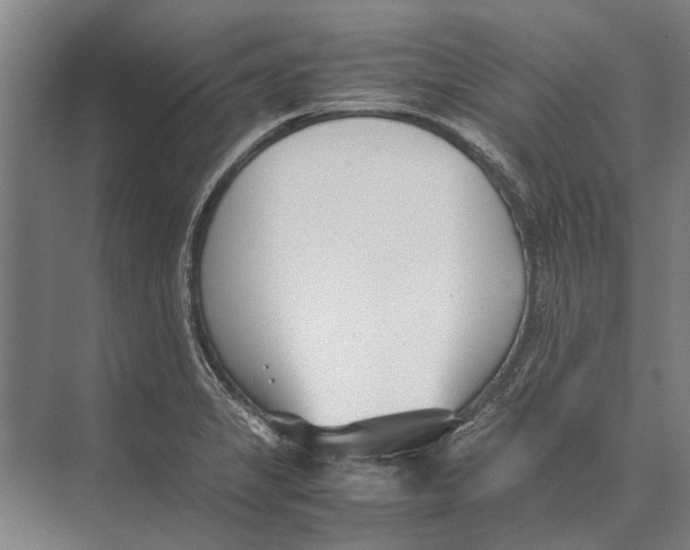 X0000071951325200608041543