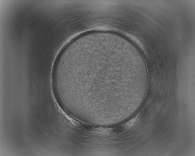 X0000071951327200608041543