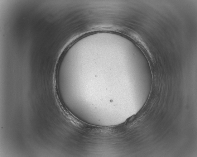 X0000071951328200608041543