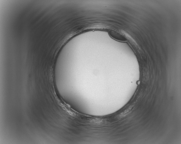 X0000071951329200608041543