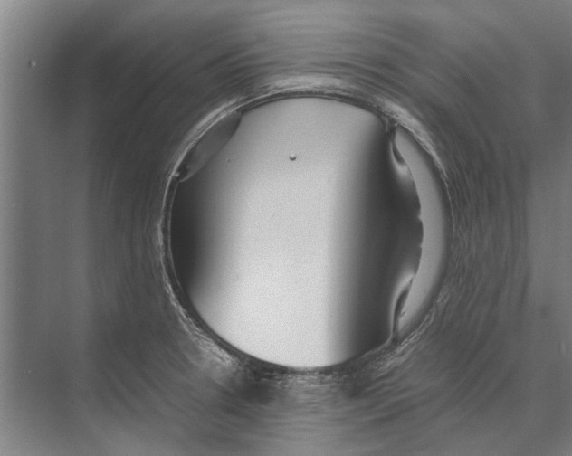 X0000071951330200608041543