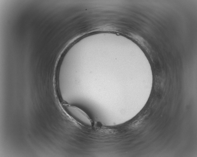 X0000071951331200608041543