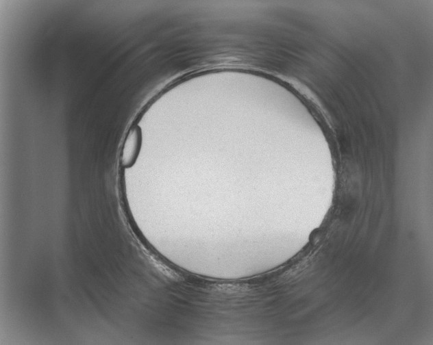 X0000071951333200608041543