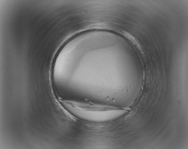 X0000071951334200608041543