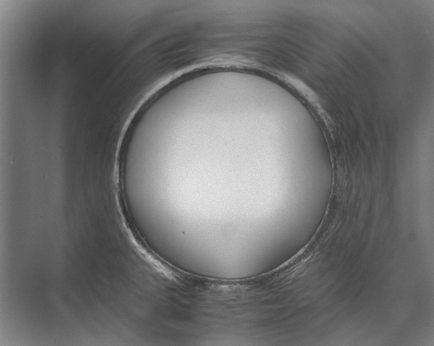 X0000071951335200608041543