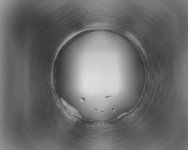 X0000071951336200608041543