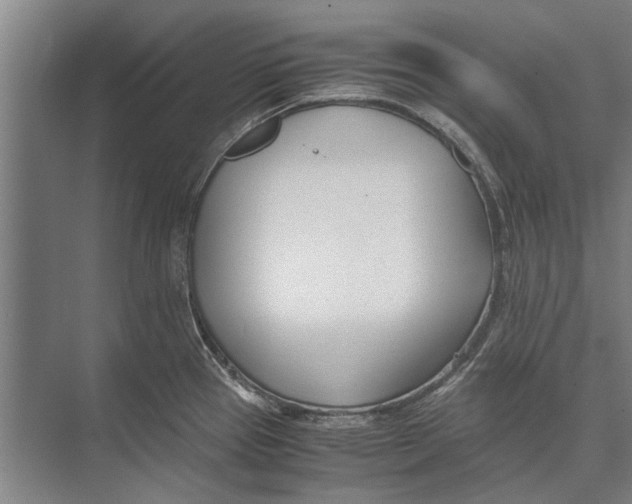 X0000071951337200608041543