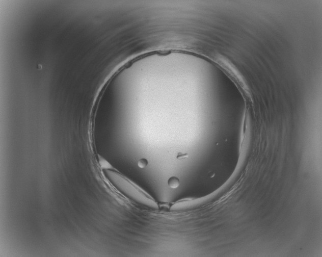 X0000071951340200608041543