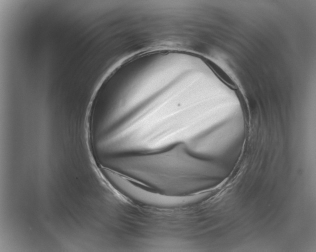 X0000071951341200608041543