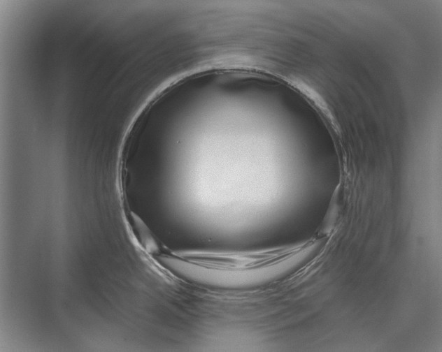 X0000071951342200608041543